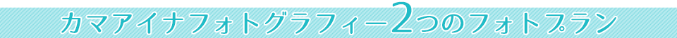 footer_title